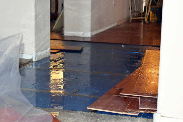 Professional Flood Cleanup technician working in Kansasville, WI